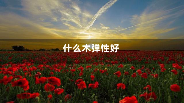 什么木弹性好