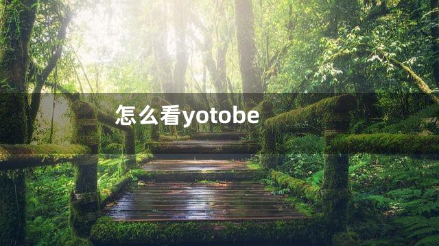 怎么看yotobe