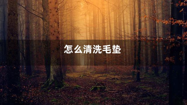 怎么清洗毛垫