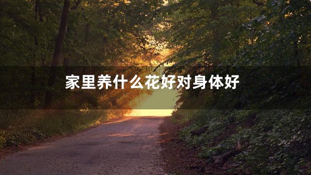 家里养什么花好对身体好
