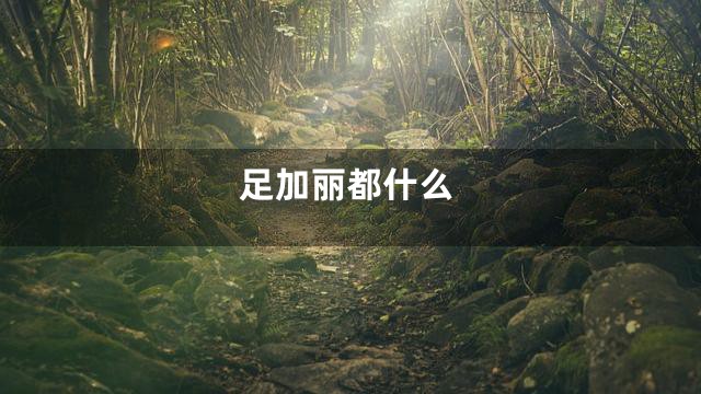 足加丽都什么