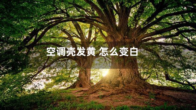 空调壳发黄 怎么变白