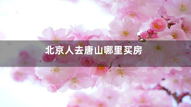 北京人去唐山哪里买房