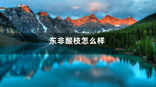 东非酸枝怎么样