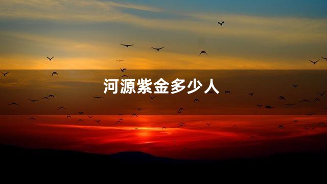 河源紫金多少人