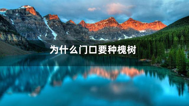 为什么门口要种槐树