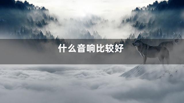 什么音响比较好