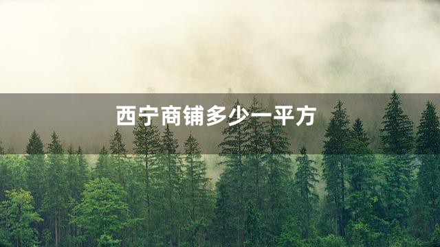 西宁商铺多少一平方