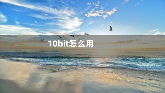 10bit怎么用