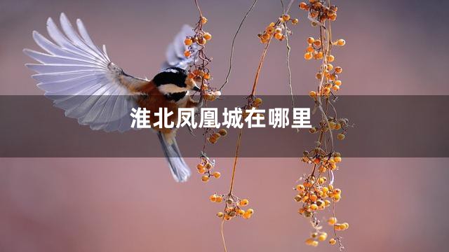 淮北凤凰城在哪里