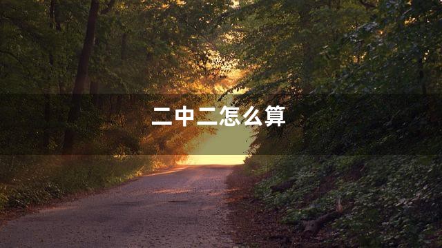 二中二怎么算