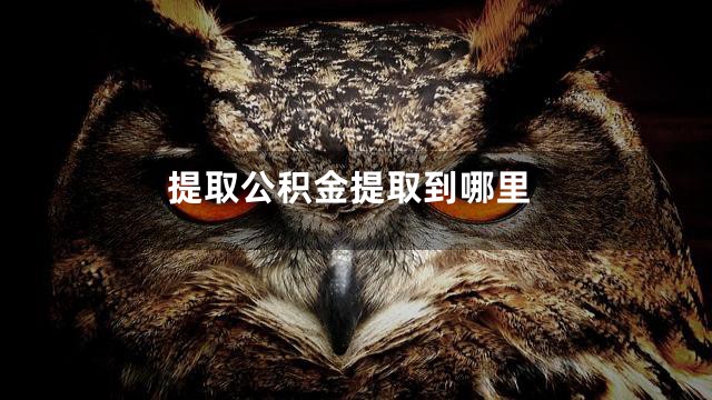 提取公积金提取到哪里