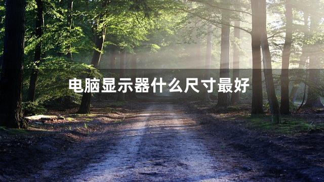 电脑显示器什么尺寸最好