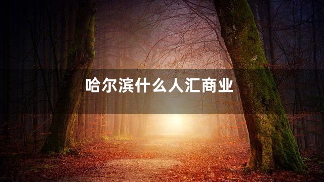 哈尔滨什么人汇商业