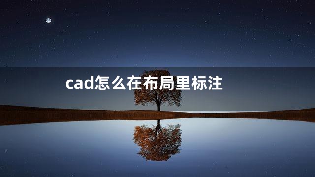 cad怎么在布局里标注