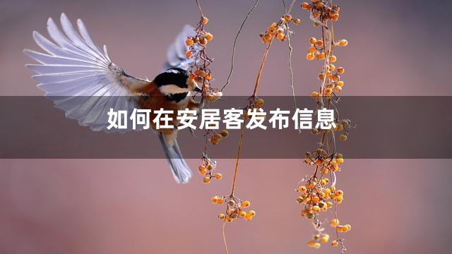 如何在安居客发布信息