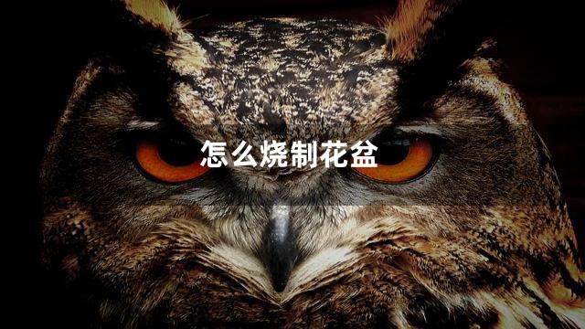 怎么烧制花盆