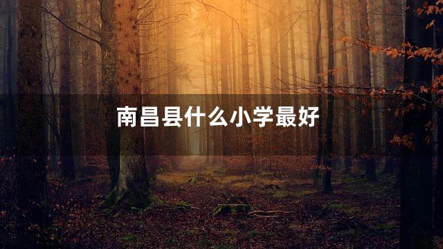 南昌县什么小学最好