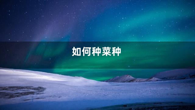 如何种菜种