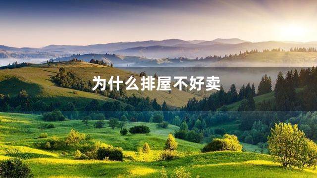 为什么排屋不好卖