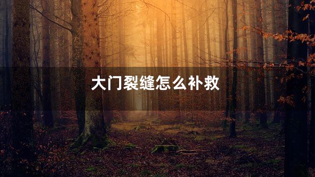 大门裂缝怎么补救