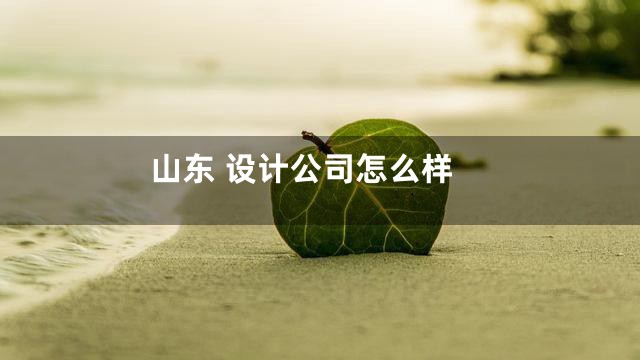 山东 设计公司怎么样