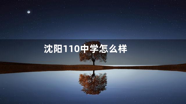 沈阳110中学怎么样