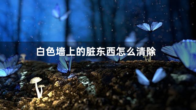 白色墙上的脏东西怎么清除