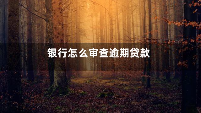银行怎么审查逾期贷款