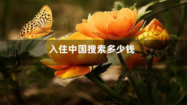 入住中国搜索多少钱