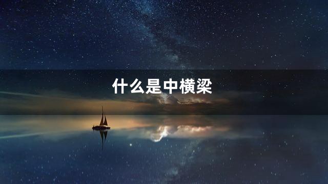 什么是中横梁