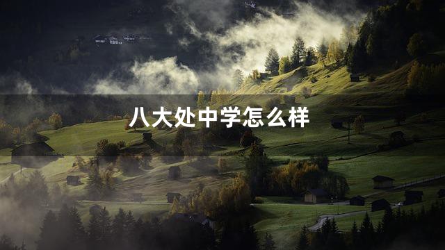 八大处中学怎么样