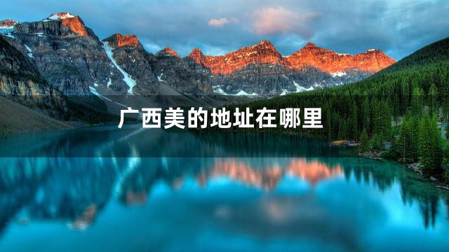 广西美的地址在哪里