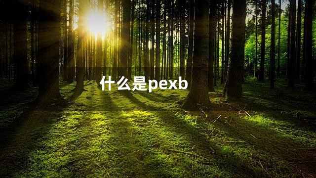 什么是pexb