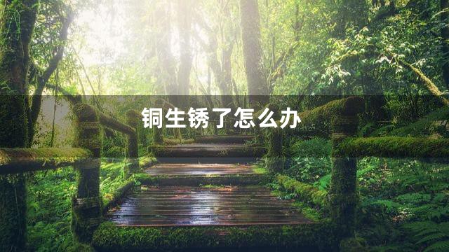 铜生锈了怎么办