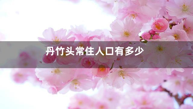 丹竹头常住人口有多少