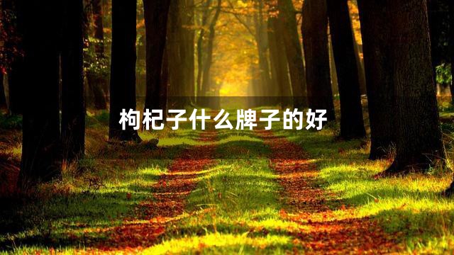 枸杞子什么牌子的好