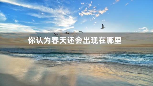 你认为春天还会出现在哪里