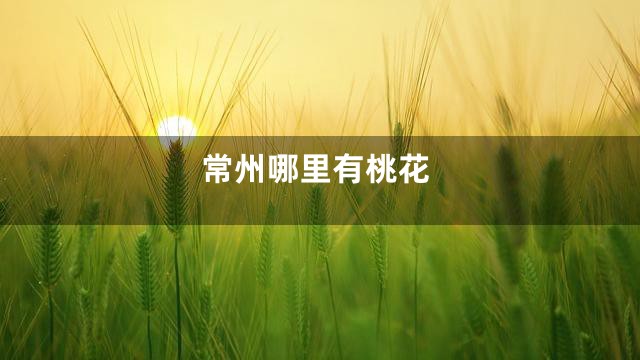 常州哪里有桃花