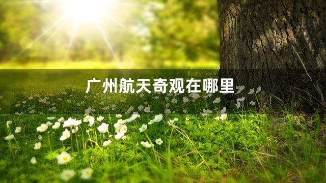 广州航天奇观在哪里