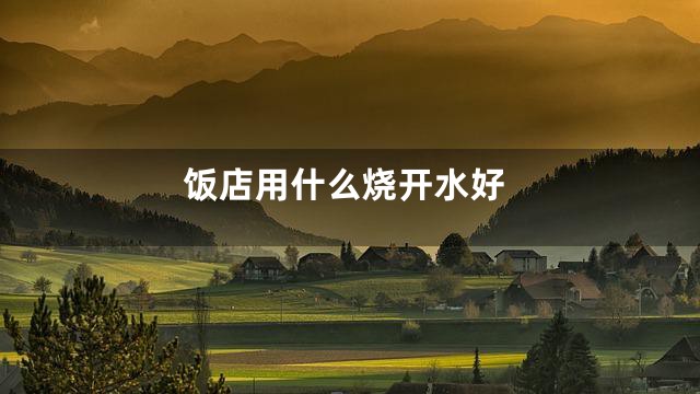 饭店用什么烧开水好
