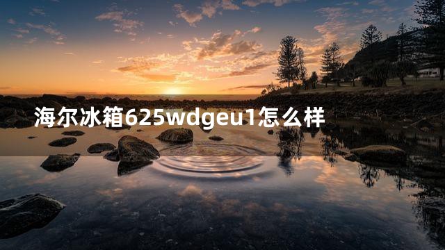 海尔冰箱625wdgeu1怎么样