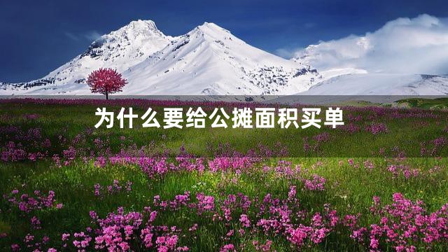 为什么要给公摊面积买单