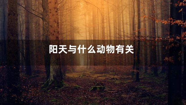 阳天与什么动物有关