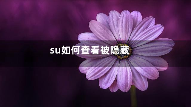 su如何查看被隐藏