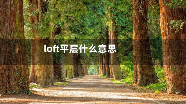 loft平层什么意思