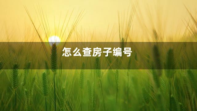 怎么查房子编号