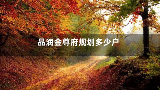 品润金尊府规划多少户
