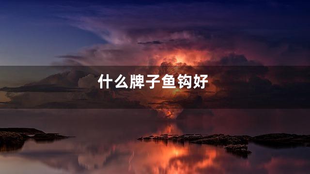 什么牌子鱼钩好