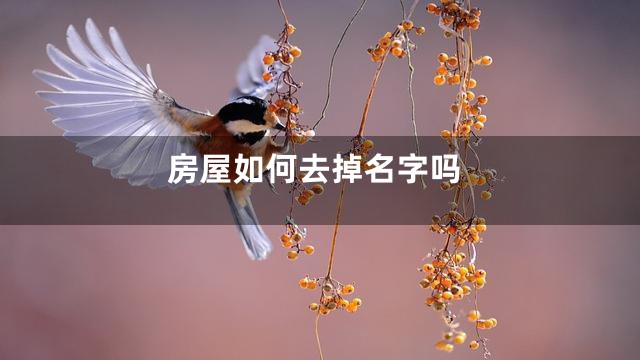 房屋如何去掉名字吗